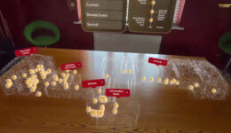 Diageo Archive VR / Website